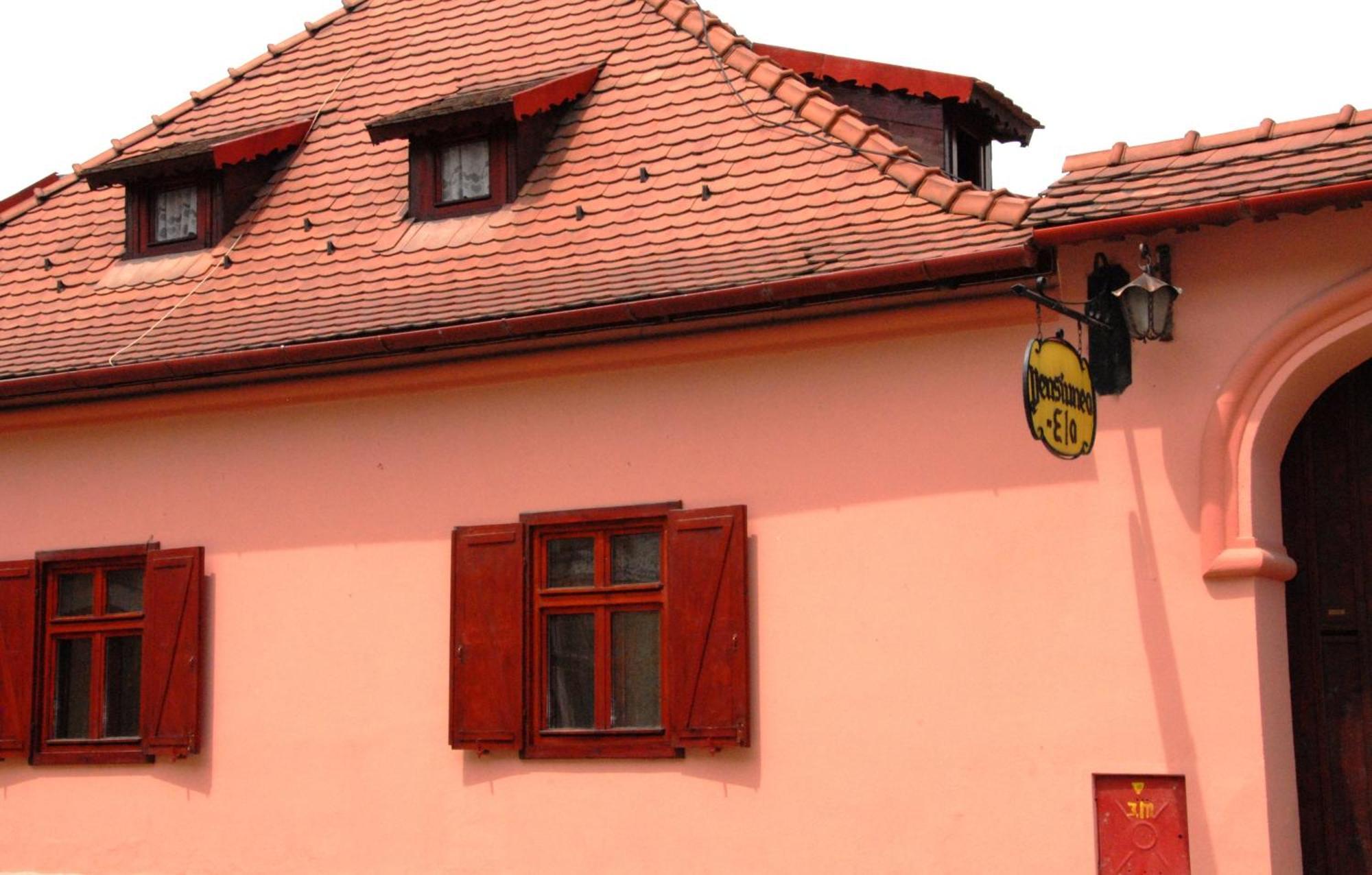 Ela Sibiu